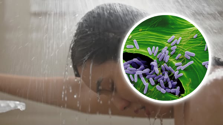 Copia di Senza titolo (750 x 422 px) (8)