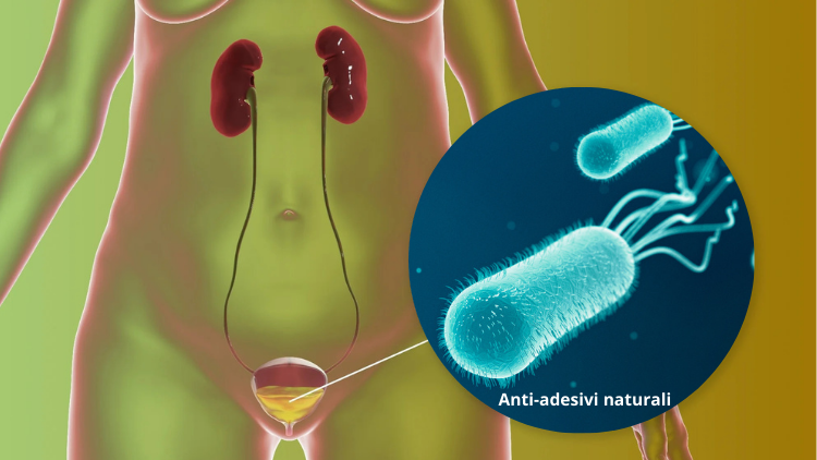 Copia di Senza titolo (750 x 422 px) (9)